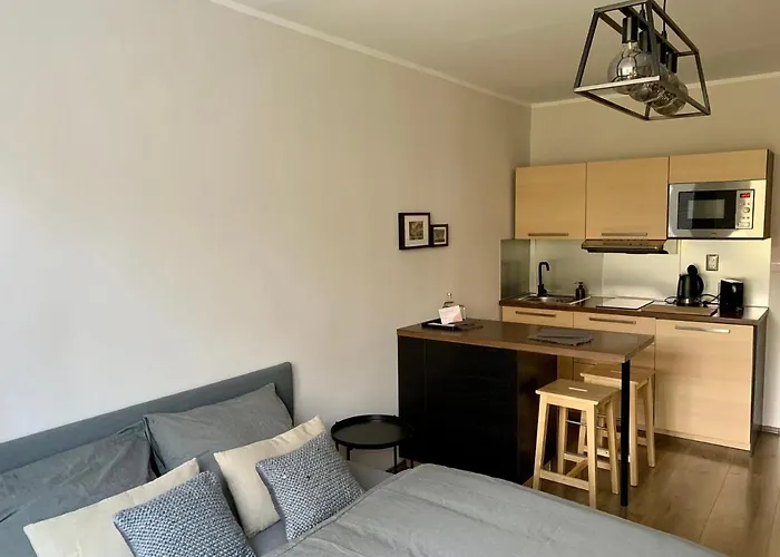 Apartman Luhacovice *