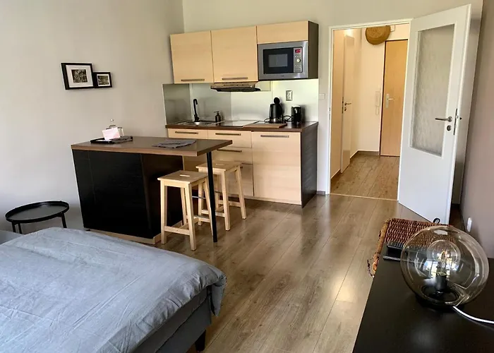 Apartman Luhacovice Lägenhet