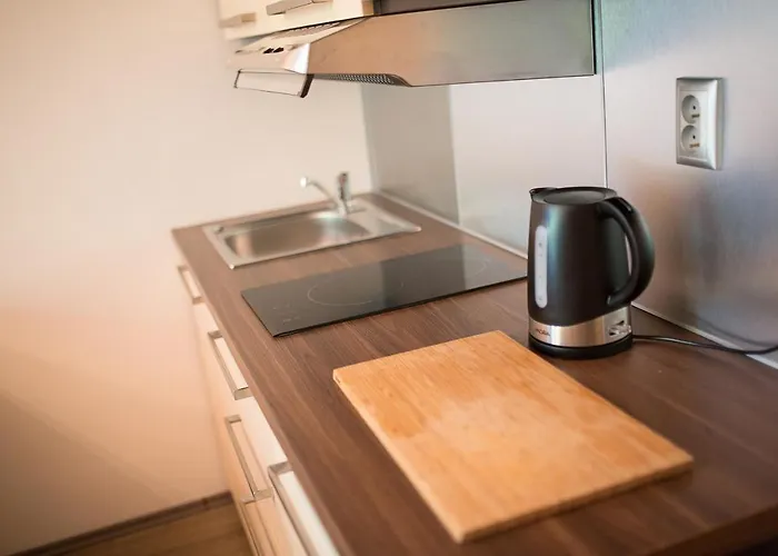 아파트 Apartman Luhacovice *